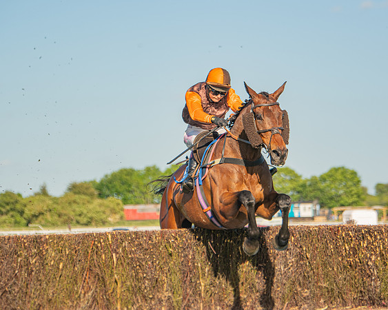 Race 2 - Nimrod Ladies Open (49 of 82)