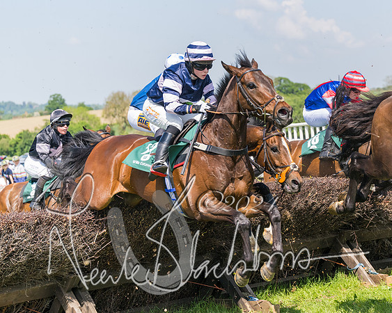 Race 2 - The Maiden  (258 of 442)