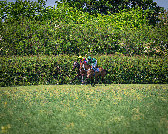 Race 3 The College and County Ladies Open Race (48 of 122)