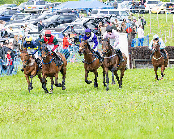 Race 2 - Veteran Horse (11 of 80)