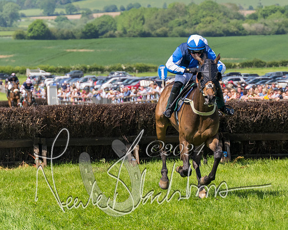 Race 2 - The Maiden  (318 of 442)