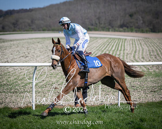 Race 2 - The Maiden (37 of 118)