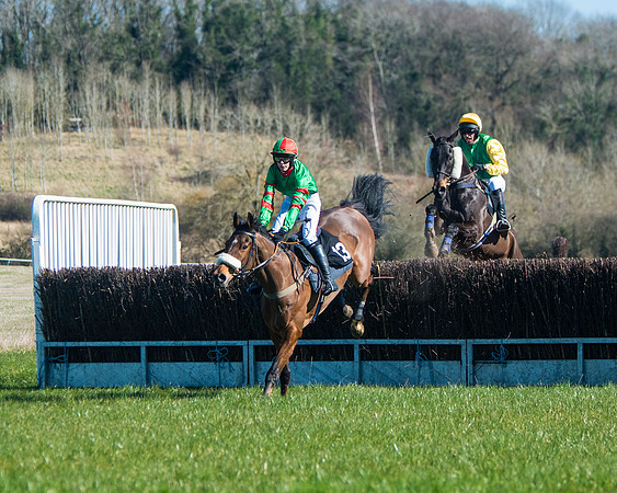 Race 2 - Warwick racecourse conditions  (7 of 122)