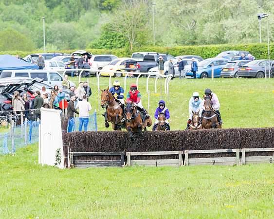Race 2 - Veteran Horse (4 of 80)