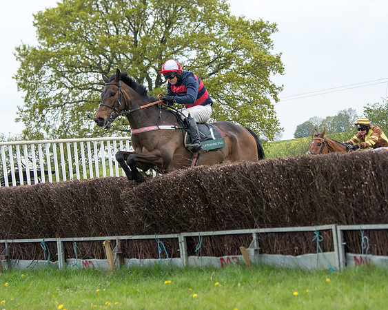 Race 2 - Jockey Club ROR veteran Horse (48 of 104)