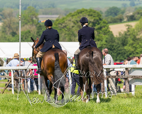Race 2 - The Maiden  (13 of 442)