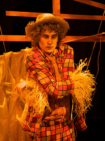 The Wizard of OZ -  103