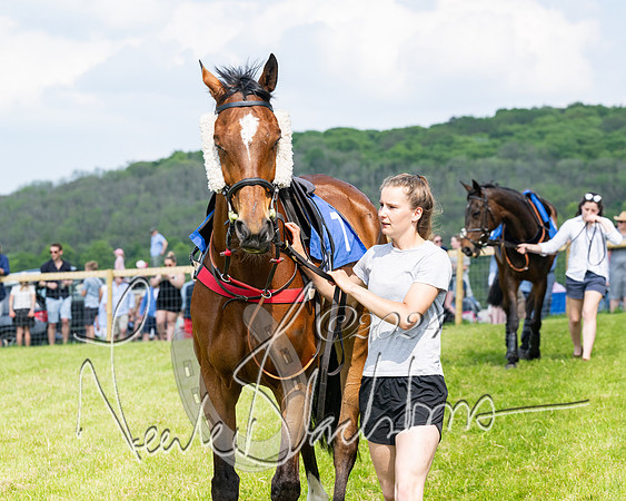 Race 3 - Ladies Open  (13 of 133)