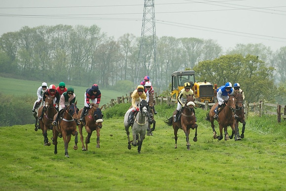 Race 5 - Restricted 31