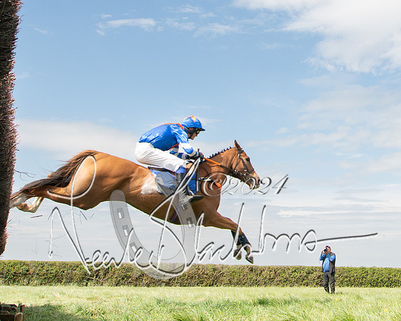 Race 2 - The Elliott of London maiden race (70 of 137)