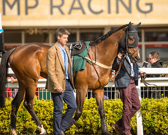 Race 2  -  Intermediate Point to Point Hunters' Steeple Chase (2 of 277)