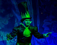 Swan Panto 2017