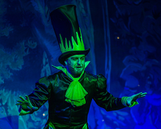 Swan Panto 2017