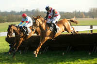 Race 7 - 19