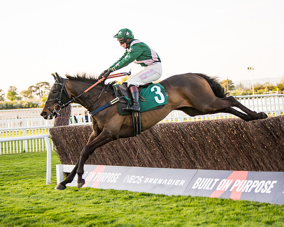 Race 5 - ITM Mares'  (38 of 181)