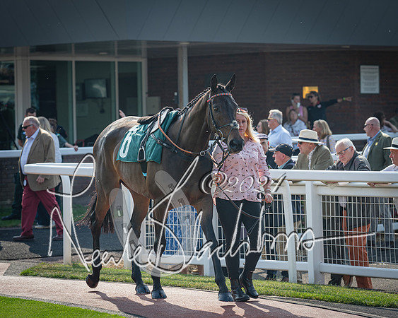Race 2 - The Venatour sports travel intermediate point to point hunters’ steeplechase 5 year olds and over 3m2f (2 of 163)