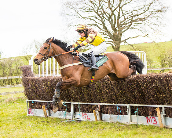 Race 6 - 6 year old and over Maiden 2m4f (37 of 62)