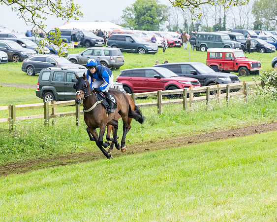 Race 7 -  Maiden Conditions (8 of 135)