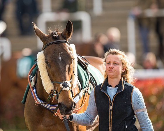 Race 2  -  Intermediate Point to Point Hunters' Steeple Chase (32 of 277)