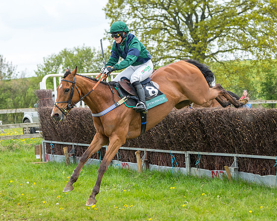 Race 2 - Jockey Club ROR veteran Horse (90 of 104)