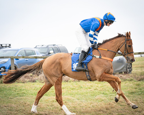 Race 2 - The Maiden (26 of 156)