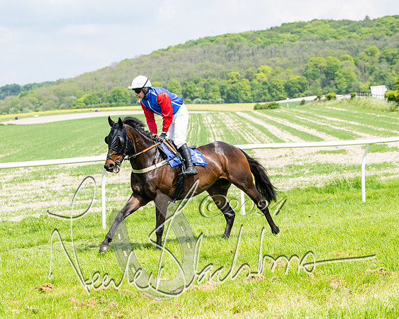 RAce 1 - Conditionsn [Level 2] (49 of 219)