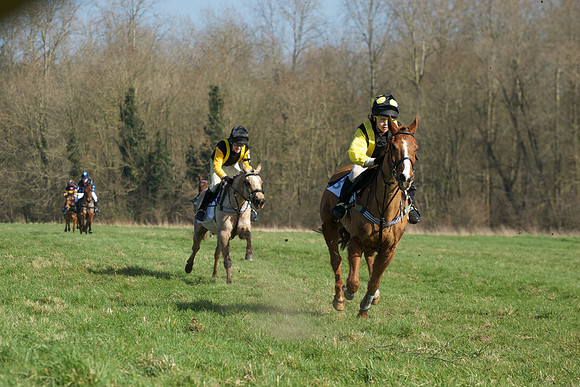 Pony Races -  28