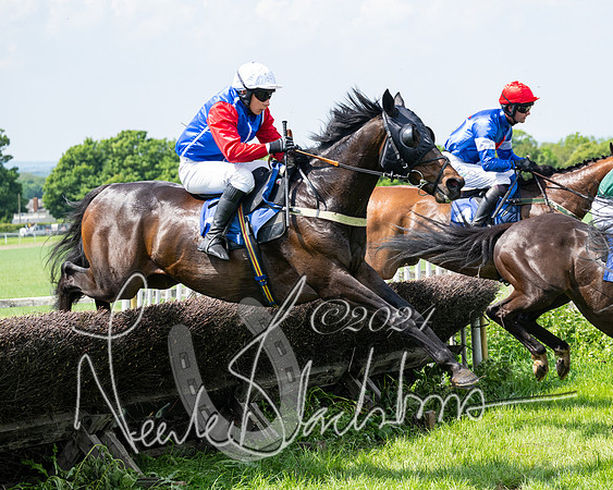 RAce 1 - Conditionsn [Level 2] (144 of 219)