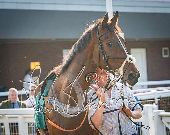 Race 4 - The Jonathan Neesom memorial open Hunter’s steeplechase 3m2f 70y (2 of 167)