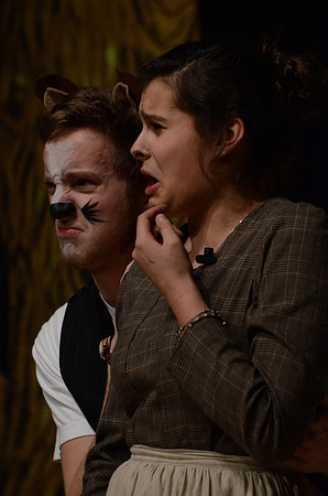 Wind in the Willows - Act-2  76