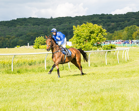 Race 6 - Open Maiden (71 of 227)