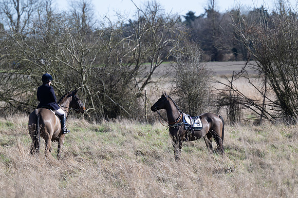 Pony Races (73 of 112)
