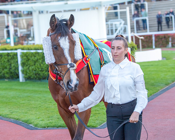 Race 7 - Glos Hussars  (45 of 245)