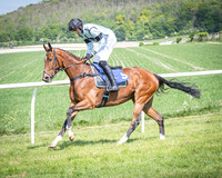 Race 2 The Highwayman Inn Restricted Race (14 of 144)