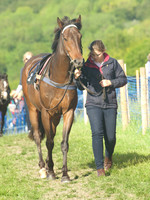 PNY_0561