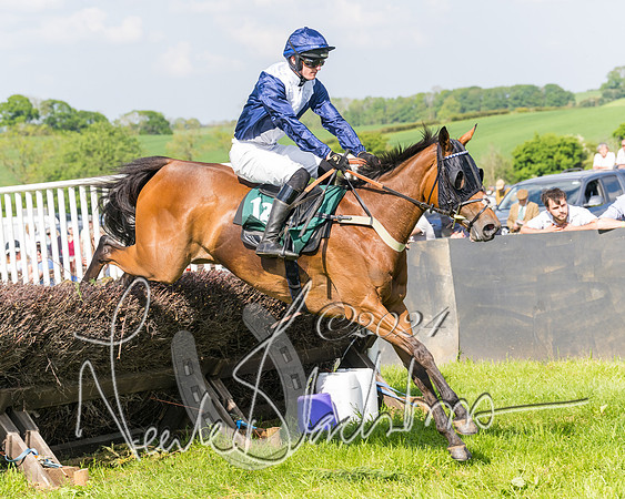Race 4 - PPORA Novice Riders Final  (245 of 362)