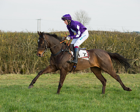 Race 6 - Open Maiden Race (28 of 99).jpg