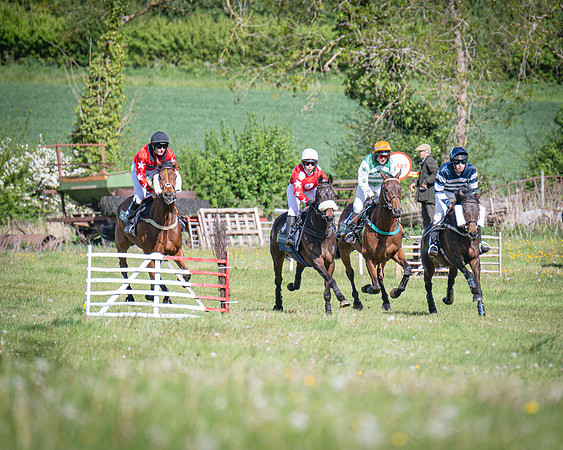 Race 5 - F N Pile and Sons PPORA Novice Riders (35 of 151)