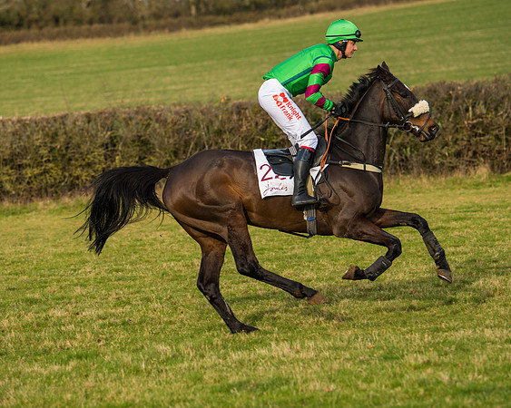 Race 5 - PPORA Conditions 2 - 8 and over  (31 of 156)