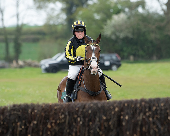 Race 2 - Jockey Club ROR veteran Horse (16 of 104)