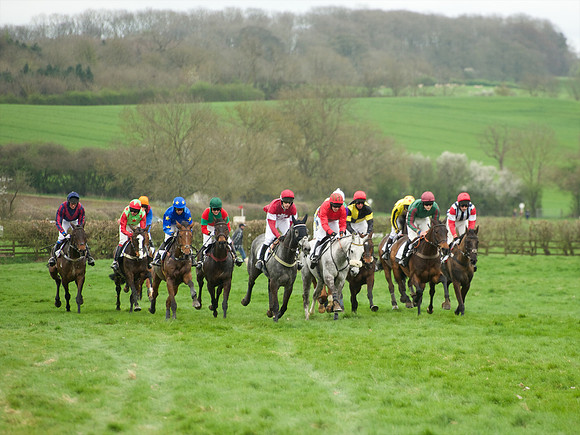 Race 6 - Maiden  56