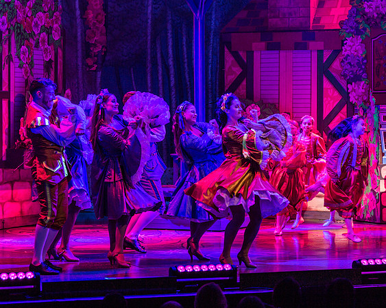 Swan Panto 2017