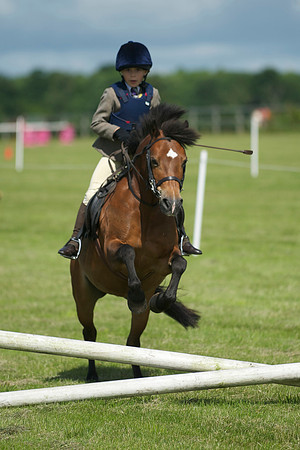 SOHS PC Summer Show at BCA 17th June 2012