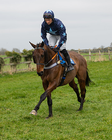 Race 2 - Veteran Horse (11 of 153)