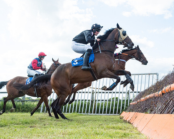 Race 6 - Open Maiden (87 of 227)