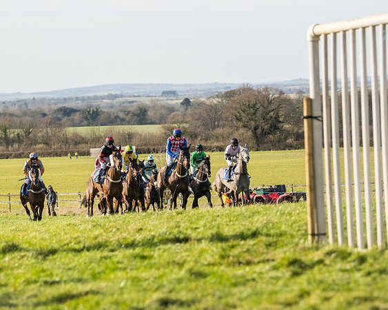 Race 5 - Restricted (15 of 146)