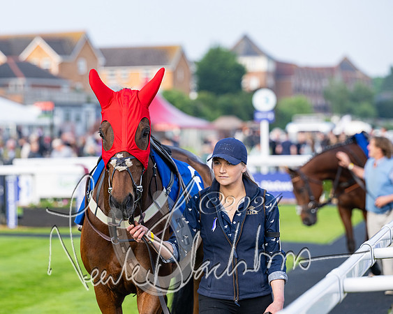Race 4 - Stratford Foxhunters (7 of 145)