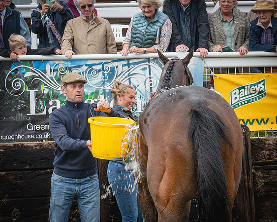 Race 6 - 2M4F Maiden (63 of 85)
