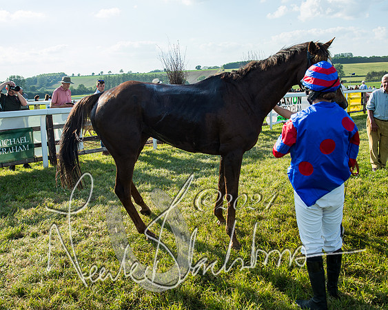 Race 7 - Veteran Horse (222 of 246)