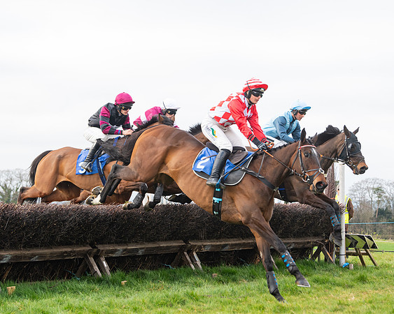 Race 6 - The Restricted Race (96 of 200)